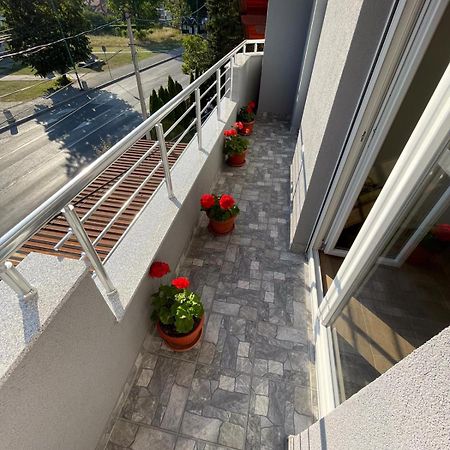 Apartman Ambijent 阿然德洛维克 外观 照片