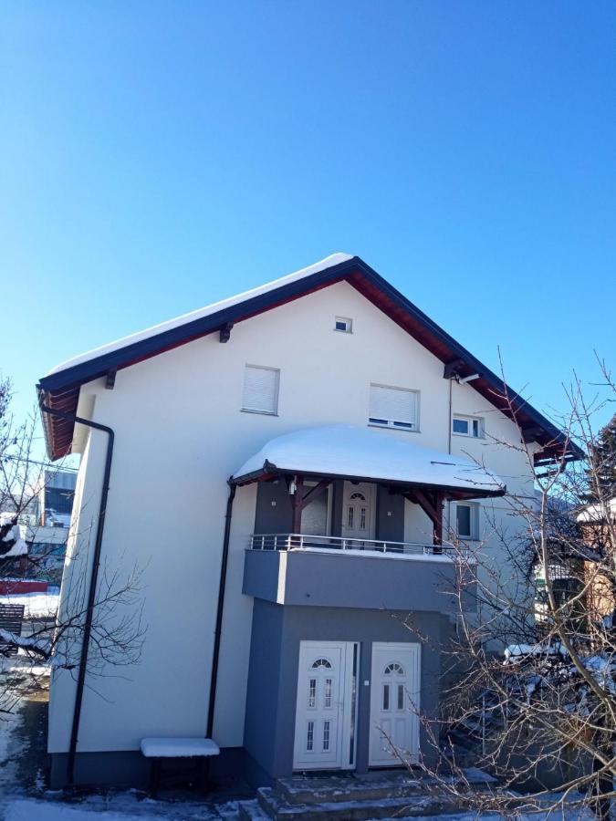 Apartman Ambijent 阿然德洛维克 外观 照片